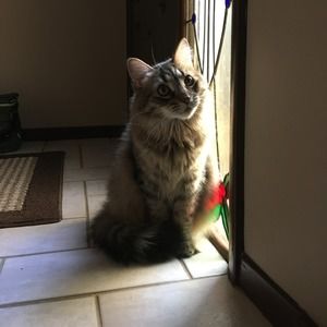 Meet your Posher, Richard